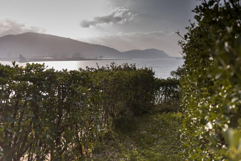 Flat With 160 M Of Garden, Sea Views Bilbao-Getxo Lägenhet Exteriör bild